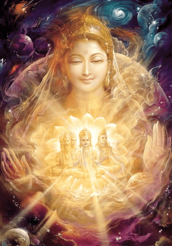 Daily Light Transmissions